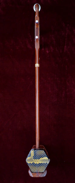 二胡 Erhu