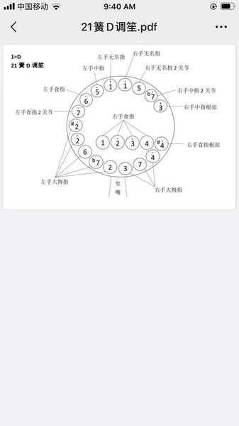 Sheng,Chinese mouth organ, 21 pipes, metal ducts,+deluxe hard case 笙, 21簧, 扩音管, 送硬盒