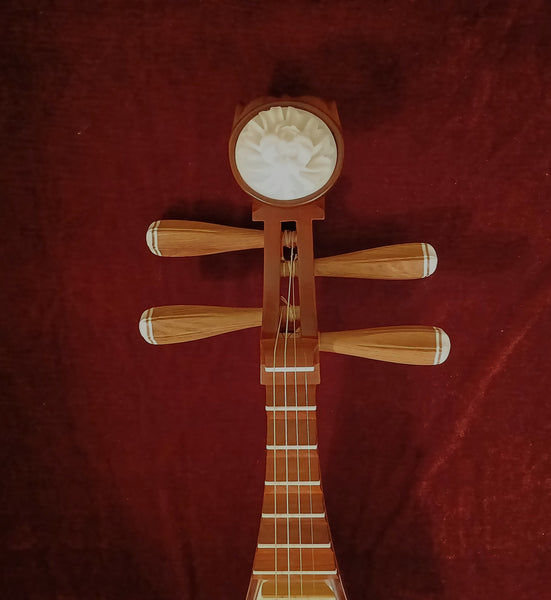 Only one, lightly used: Pipa for kids, Professional African Sandalwood非洲紫檀木微调儿童琵琶，北方最老字号，最大名牌. 乐海