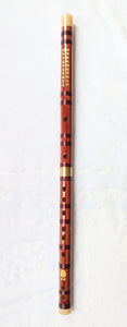 Dizi, Chinese Bamboo Flute, free study book  竹笛, 送入门教材