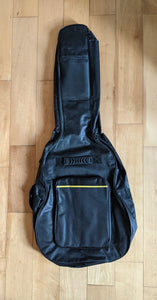 Padded Guitar Bag